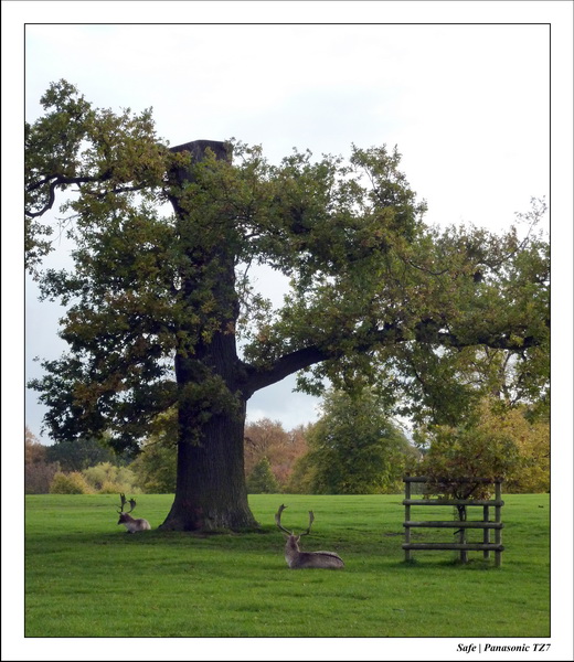 2010 - 10 - Stamford 32